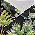 Papel De Parede Tropical Vinílico Lavável Texturizado 10m - Imagem 3