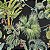 Papel De Parede Tropical Vinílico Lavável Texturizado 10m - Imagem 2