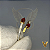 Anel em ouro 18k com 2 rubis e 20 diamantes naturais - Imagem 6
