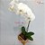 Orquídea PHALAENOPSIS Branca - Uma Haste - Cachepot de Madeira - Imagem 2