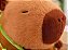 Pelúcia De Capivara E Mochilas Pequenas De Tartaruga 30cm - Imagem 4