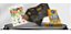 Folheto Panfleto Couchê Brilho 10x14cm estampado Frente - Imagem 2
