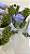 Mini Pistilo - Imagem 9