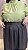 Blusa Lu - Imagem 10