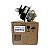 Par Coxim Motor Bmw X5 F15 F85 Xdrive 2013 2014 2015 2016 2017 2018 22116853103 22116853104 - Imagem 5