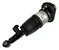 Amortecedor Bolsa Ar Traseira LD Bmw X5 X6 X7 37106869048 - Imagem 1