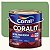 Tinta Esmalte Coral Coralit Ultra Resistência  Brilhante Verde Nilo 3,6 Litros - Imagem 1