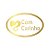 Adesivo "Com Carinho" - Hot Stamping - Dourado - 1 unidade Pct. c/ 100 unds. - Stickr - Rizzo - Imagem 1