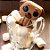 Forma Especial Trad. - Dog - Cod. 10324 - 1 unidade - BWB - Imagem 1