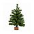 Mini Pinheiro Verde 53H - 45 cm - 1 unidade - Cromus - Rizzo - Imagem 3