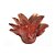 Forminha Para Doces Finos - Estrela do Mar Rose Gold - 20 unidades - Decora Doces - Rizzo - Imagem 1