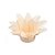 Forminha Para Doces Finos - Estrela do Mar Creme - 20 unidades - Decora Doces - Rizzo - Imagem 1