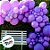 Balão Profissional Premium Uniq 9''23cm - Roxo Purple - 25 unidades - Balões São Roque - Rizzo - Imagem 2