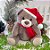 Urso de Pelúcia com Gorro - Cinza - 32cm  - 1 unidade - Cromus - Rizzo - Imagem 1