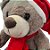 Urso de Pelúcia com Gorro - Cinza - 27cm  - 1 unidade - Cromus - Rizzo - Imagem 2