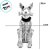 Enfeite de Halloween - Cachorro Esqueleto - Com Luz - 1 unidade - Cromus - Rizzo - Imagem 2