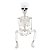 Enfeite Decorativo Halloween - Esqueleto Charlie - 75cm - 1 unidade - Cromus - Rizzo - Imagem 4