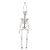 Enfeite Decorativo Halloween - Esqueleto Charlie - 75cm - 1 unidade - Cromus - Rizzo - Imagem 5
