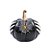 Enfeite Decorativo Halloween - Abóbora Magia - 20cm - 1 unidade - Cromus - Rizzo - Imagem 1
