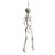 Enfeite Decorativo Halloween - Caveira Amom - 40cm - 1 unidade - Cromus - Rizzo - Imagem 2
