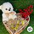 Urso de Pelúcia Laço - Branco - 20cm - 1 unidade - Rizzo - Imagem 5