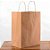 Sacola de Papel G 31,5x29,5x20cm - Kraft Fundo Largo - 10 unidades - Cromus - Rizzo - Imagem 1