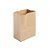Saco de Papel Kraft Ref 3344 - 13,5x8x16cm - 10 unidades - Imagem 1