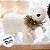 Enfeite de Natal - Urso Branco de Cachecol - 22x26x15cm - 1 unidade - Rizzo - Imagem 5