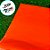 Papel de Seda - 50x70cm - Coral - 10 unidades - Rizzo - Imagem 3