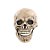 Máscara de Halloween - Caveira Casimir - 24cm - 1 unidade - Cromus - Rizzo - Imagem 1