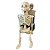 Enfeite Decorativo Halloween - Caveiras Caixão com Som e Movimento -  47x45cm - 1 unidade - Rizzo - Imagem 2