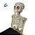 Enfeite Decorativo Halloween - Caveiras Caixão com Som e Movimento -  47x45cm - 1 unidade - Rizzo - Imagem 5