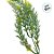 Pick Decorativo - Verde - 34cm - 1 unidade - Rizzo - Imagem 3