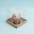 Caixa para Panetone 250g (12cm x 12cm x 12cm) Kraft - 5 unidades - Assk - Rizzo - Imagem 1