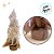 Mini Pinheiro De Natal Nevado Com Led - 56cm - Ref. RZO422 - 1 unidade - Rizzo - Imagem 5