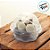 Blister Pote Bolha 240ml - 8,5x9,5cm - 10 unidades - Rizzo - Imagem 3