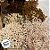 Palito para Aromatizador - Rattan Creme - 24cm - 1 unidade - Rizzo - Imagem 6