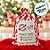 Saco Decorativo de Natal - Correio Listrado - 55x35cm  - 1 unidade - Cromus - Rizzo - Imagem 3