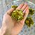 Forminha para Doces Finos - R-82 - Seda Dourado - 40 unidades - Maxiformas - Rizzo - Imagem 3