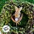 Pick Decorativo Coelho Marrom Ninho de Páscoa - 29,5cm  - 1 unidade - Rizzo - Imagem 4