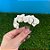 Mini Buque de Flores Artificiais - Branco - 8cm - 12 unidades - Rizzo - Imagem 5