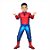 Fantasia de Luxo Homem Aranha Infantil - 1 unidade - Regina - Rizzo - Imagem 1