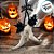 Enfeite Decorativo Hallowenn - Sapato de Bruxa Branco - 42cm - 1 unidade - Rizzo - Imagem 4