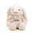 Coelho de Pelúcia Branco com Laço Personalizado - 31cm - 1 unidade - Rizzo - Imagem 3