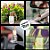 Frasco Para Aromatizador de Carro - Quadrado - 9ml - Rizzo - 1 unidade - Rizzo - Imagem 3