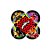Porta Forminha - Lady Bug - 50 unidades - Regina - Rizzo - Imagem 2