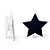 Lousa para Personalizar Prendedor Estrela Branca - 6 unidades - Cromus - Rizzo - Imagem 1