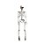 Enfeite Decorativo Halloween - Esqueleto Articulado Xavier - 94cm - 1 unidade - Cromus - Rizzo - Imagem 1