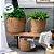 Cesta Decorativa Imares de Seagrass - 17x17x16cm - 1 unidade - Rizzo - Imagem 4