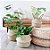Cesta Decorativa Caubi de Seagrass com Alça - 36x36x30cm - 1 unidade - Rizzo - Imagem 3